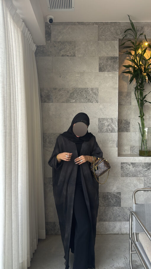 sh1 - Image 4