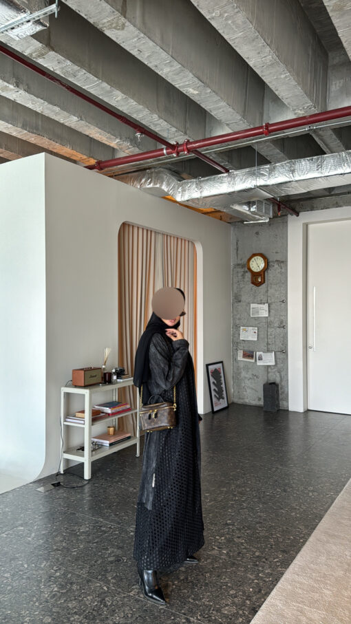 shp2 - Image 5